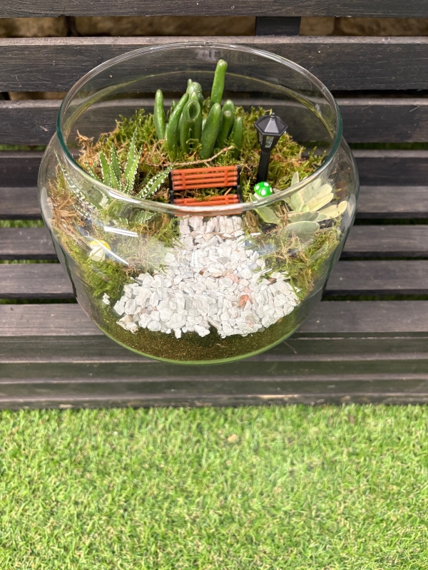 Terrarium DIY Kits