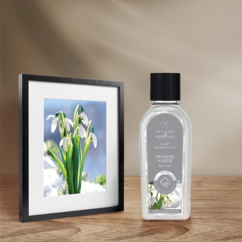 ASHLEIGH & BURWOOD FROSTED EARTH LAMP FRAGRANCE