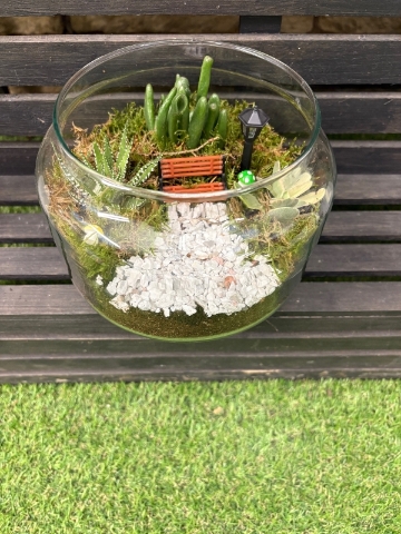 Terrarium DIY Kits